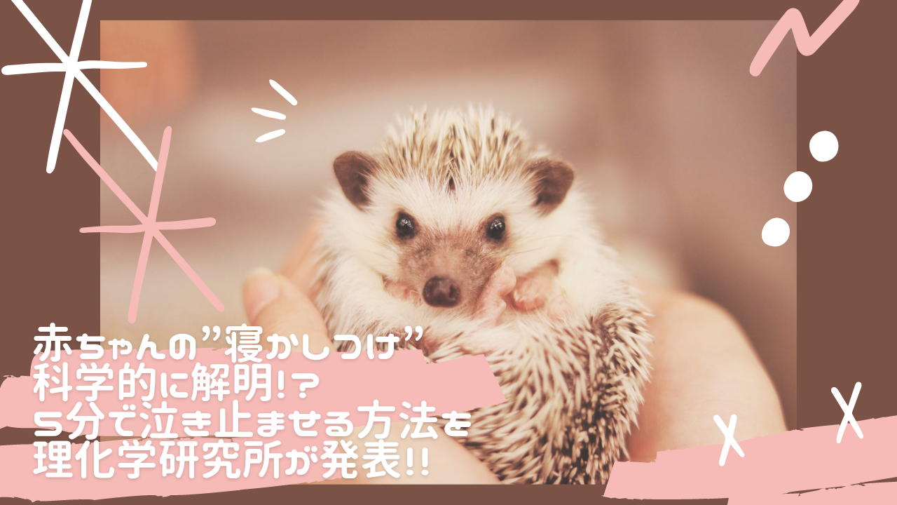 赤ちゃんの 寝かしつけ 科学的に解明 5分で泣き止ませる方法を理化学研究所が発表 くらうん くらうん